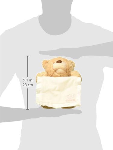 Peekaboo Teddy Bear